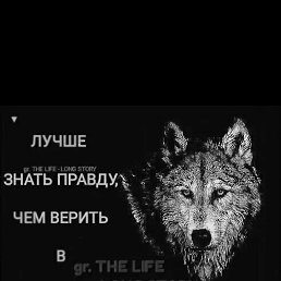 ���� �����, ������, 38 ��� - ��������� 28 ����� 2023