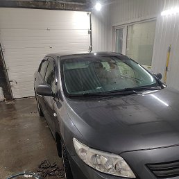 ���� ����, ��������, 40 ��� - ��������� 22 ������ 2023