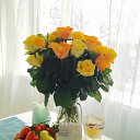 ���� ������, ������, 62 ���� - ��������� 14 ������ 2023 � ������ ������ ��������