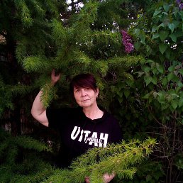 ������, ������, 56 ���