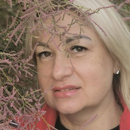 ������, ������, 54 ����