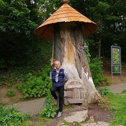 ���� �������, ������, 51 ��� - ��������� 11 ���� 2023