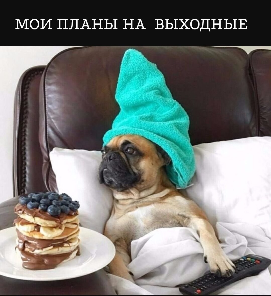 ***Victoria Viktorovna*** - 25  2023  07:31