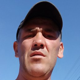 Sasa, �������, 43 ����