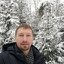 �����, �����-���������, 43 ����