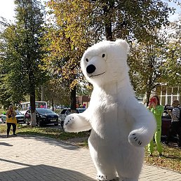 ���, ����������, 37 ���