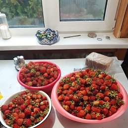 �������, �����������, 59 ���