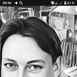 ���� �������, ������, 41 ��� - ��������� 11 ���� 2023