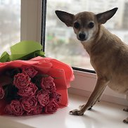 Ilona, 48 лет, Франкфурт Ilona, 48 лет, Франкфурт