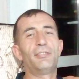 �����, �����������, 43 ����