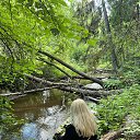 ���� �������, ����� - ��������� 11 ���� 2023 � ������ ���� ����������