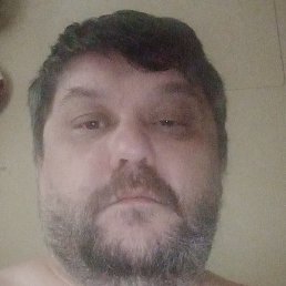 �������, ������, 46 ���