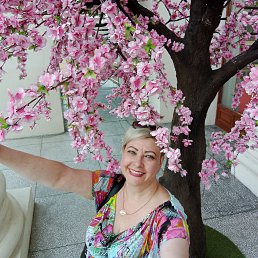 ���� �����, ������, 53 ���� - ��������� 20 ��� 2023