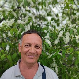 ���� ����, ������, 63 ���� - ��������� 10 �������� 2023