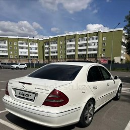 �������, �����������, 25 ���