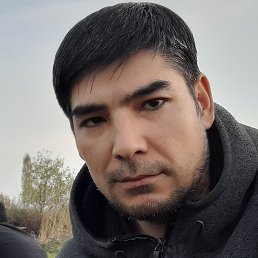 ���������, �����, 43 ����