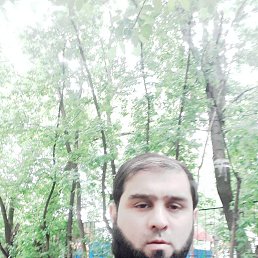  Radul, , 41  -  21  2023