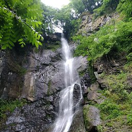 �����, ������, 41 ���