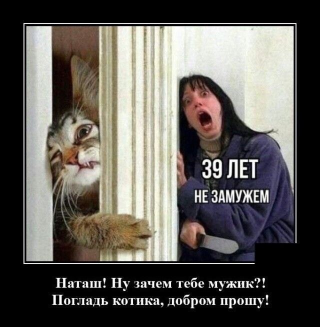  - 25  2023  15:37