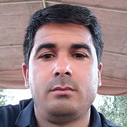 �������, ������, 41 ���