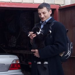 , 43, 