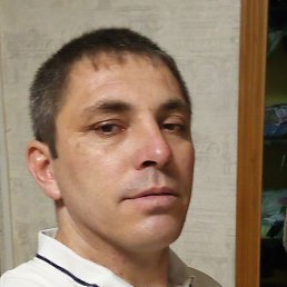 �������, ������, 41 ���