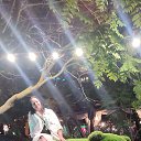 ���� �����, �����, 48 ��� - ��������� 15 ���� 2023 � ������ ���� ����������