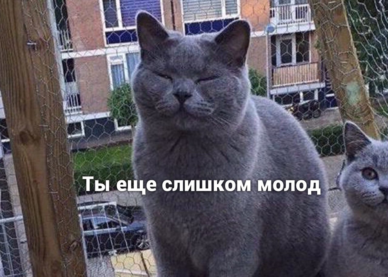   - 3