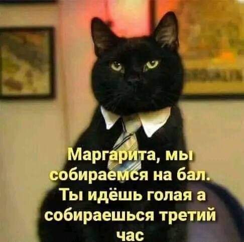   ....