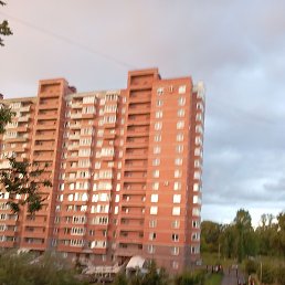 ���, �����-���������, 49 ���