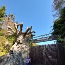 ���� �����, ������ - ��������� 4 ������� 2023 � ������ ���� ����������