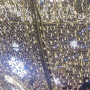 ��������, 38 ���, ������