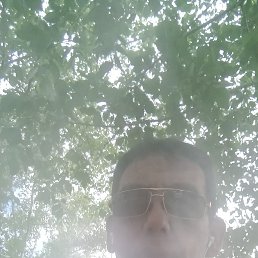 ���� ��������, ������, 44 ���� - ��������� 28 ���� 2023