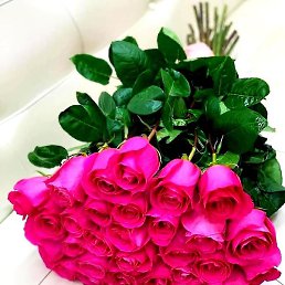 �������, ���������, 53 ����