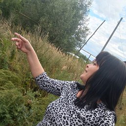 ����, ������, 39 ���