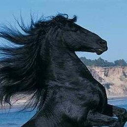 Andrey, ������, 21 ���