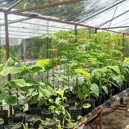 Pierre Richard, Delmas, 37 ���