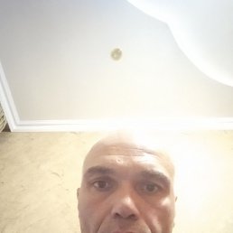 �������, ����������, 47 ���