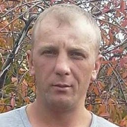 �����, ������, 43 ����