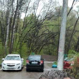 ����������, ������, 35 ���