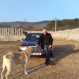 Niko, �������, 60 ���