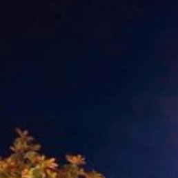 ���� ������, ������, 46 ��� - ��������� 2 ����� 2023