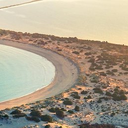 ������, ������, 53 ����