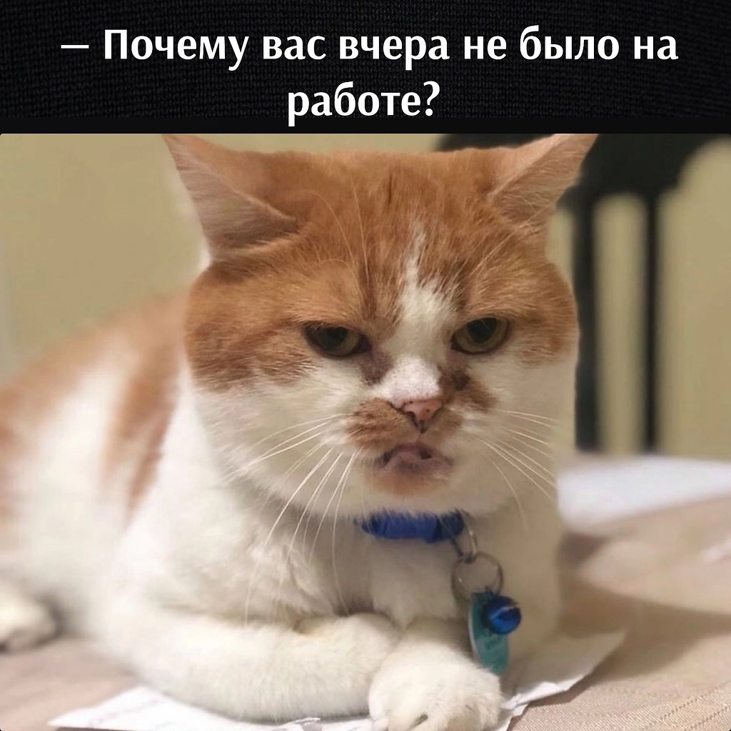       - 8  2023  12:47