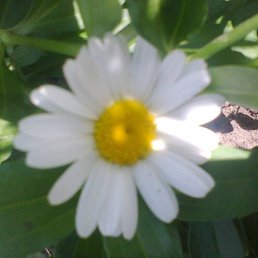 �������, ���������, 48 ���