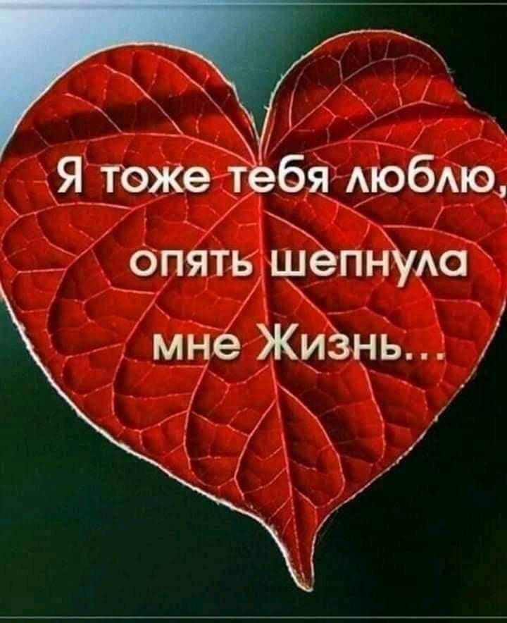      .      .     ...
