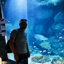 ���� �������, ������, 44 ���� - ��������� 13 ������� 2023