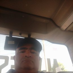 Baxa, �������, 51 ���