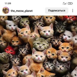 �����, �������, 30 ���