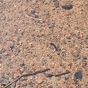 ���� �����, �����-���������, 51 ��� - ��������� 21 ���� 2023 � ������ ���� ����������